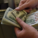 Dolar güne kaç liradan başladı?