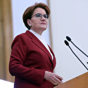 Meral Akşener'in 'korucu başkanı' dediği kişi özel güvenlik görevlisi çıktı