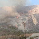 Mersin'de çıkan orman yangınına müdahale ediliyor