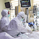 Türkiye'nin 11 Kasım koronavirüs tablosu açıklandı: Bakan Koca'dan aşı takvimi konusunda çağrı