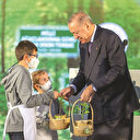 81 ilde 81 millet ormanı