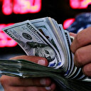 Merkez Bankası anketinde yıl sonu dolar tahmini yükseldi