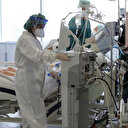 Türkiye'nin 14 Kasım koronavirüs tablosu açıklandı: Bakan Koca dokuz il için destek istedi