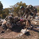 Eren Kış-5 (Bağgöze) Şehit Jandarma Üsteğmen Ersan Yenici operasyonu başladı