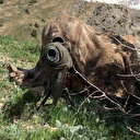 Tunceli'nin Mercan Dağları bölgesinde Eren Kış-6 Operasyonu'nu başlatıldı