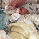 Yalova’da dehşete düşüren olay: Öz evladını mamasına karınca ilacı atıp zehirledi