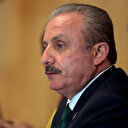 Mustafa Şentop'tan AİHM eleştirisi: Teröristleri savunmayı bırakmalı