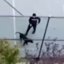 Pitbull cinsi köpeğiyle arkadaşına dehşeti yaşattı: Çocuk korkudan potaya çıktı