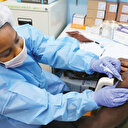 Yeni varyantın nedeni aşı adaletsizliği: Afrika'da aşılanma yüzde 1-5