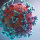 Türkiye'de Omicron (Nu) varyantı görüldü mü?