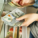 Dolar güne kaç liradan başladı?