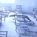 Leopar sınıfa daldı: 10 yaşındaki çocuğa saldırdı