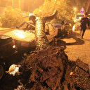 Şiddetli yağış sonrası devrilen ağaç araçları hurdaya çevirdi