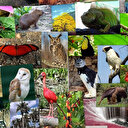 Mavi Akdeniz Türkiye’ye emanet