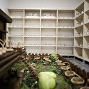 Ordu tıbbi ve aromatik bitki yetiştiriciliğinde öne çıkacak