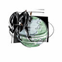 Türkiye-Afrika Zirvesi’nde ortak vizyon