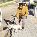 İki şehirde pitbull saldırısı: Üç çocuk yaralandı