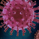 DSÖ: Omicron'un vücudun üst kısımlarını etkilediğini tespit ettik