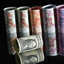 136 milyar TL ‘korumalı kur’da