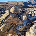 Eren Kış-15 Batman-Zori Şehit Jandarma Er Fatih Tekdoğan Operasyonu başlatıldı