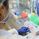 Bilim insanları uyardı: Koronavirüse bağlı ölümler D vitamini eksikliği ile bağlantılı olabilir