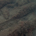 İsveç'te 800 yıllık batık gemi bulundu