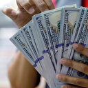 Dört bankaya yetki verildi: Dolar cinsinden kira sertifikası ihraç edecekler