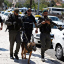 İsrail güçlerinden Filistinli gence köpekli saldırı