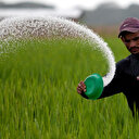 Gübre fiyatlarındaki indirimler üretim maliyetlerini düşürecek