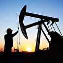 Kanada'dan Rusya'ya yönelik yeni adım: Ham petrol ithalatını yasaklayacak