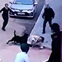 Gaziantep'te pitbull'dan sonra rottweiler dehşeti