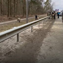 Irpin’de Rus bombardımanı altında tahliye: Saniye saniye sıcak çatışma anları