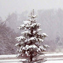 Kar tatili olan iller: 10-14 Mart hangi illerde okullar tatil edildi?