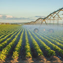 DSİ arazi toplulaştırma projeleriyle çiftçilere destek oluyor