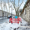 Orman Fakülteliler Derneği İBB'yi suçladı: Asırlık çınarlar ihmalden kurudu