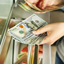 Dolar yeni güne kaç liradan başladı?