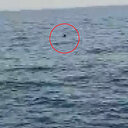 İğneada açıklarında mayın tespit edildi