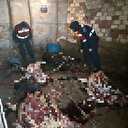 At ve eşekleri kesip vatandaşa yedireceklerdi: Jandarmadan suçüstü