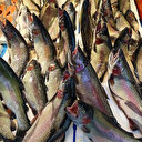 Trabzon'dan yılın iki ayında 2 milyon dolarlık su ürünleri ihracatı yapıldı