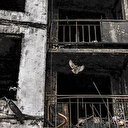 Rusya'nın saldırılarında Kiev'deki bir okul hasar gördü