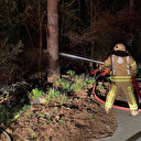 Maltepe'de orman yangını