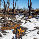 Ukrayna Savunma Bakanlığı: Rus ordusuna ait bin 969 tank imha edildi