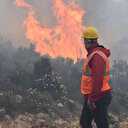 Bodrum’daki orman yangını 6 saat sonunda kontrol altına alındı: 'Sabotaj ihtimali var'