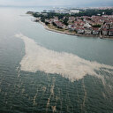 Çevre ve Şehircilik Bakanlığı duyurdu: Marmara Denizi hasta, oksijen azalıyor azot ve fosfor oranı artıyor