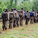 PKK, Kürtlerin akrebidir