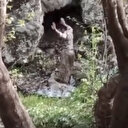 Pençe-Kilit Operasyonu'nda teröristlerin yakalanma anı