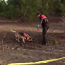 Samsun’da miras cinayeti: Cesedi jandarma kadavra köpeği buldu