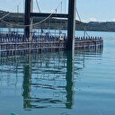 Seyhan Baraj Gölü'nün seviyesi yükseldi kafeler sular altında kaldı