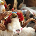 Kurban Bayramı ne zaman, ayın kaçında? Kurban bayramı takvimi 2022