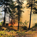 Hatay'da iki farklı noktada orman yangını çıktı